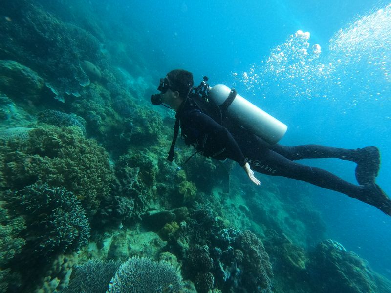 Face à un mur de corail