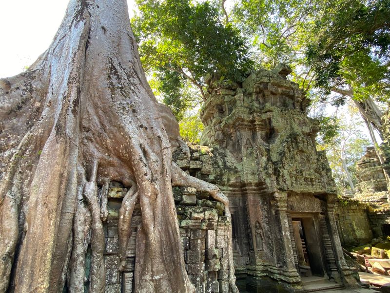 Temple de Ta Prohm Ă Angkor