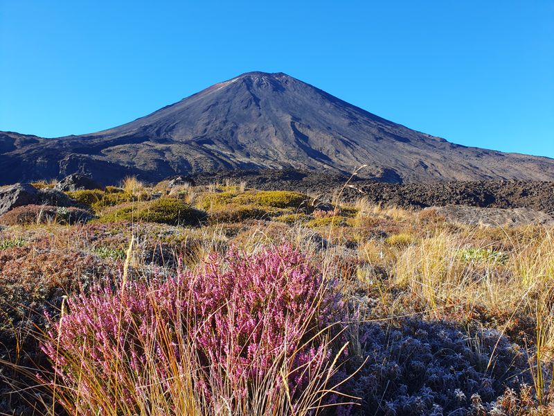 Le volcan Ngauruhoe dans le Tongariro