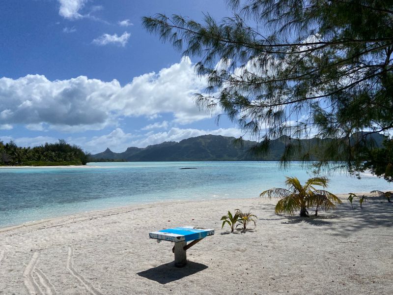 Sur notre plage abandonnée...