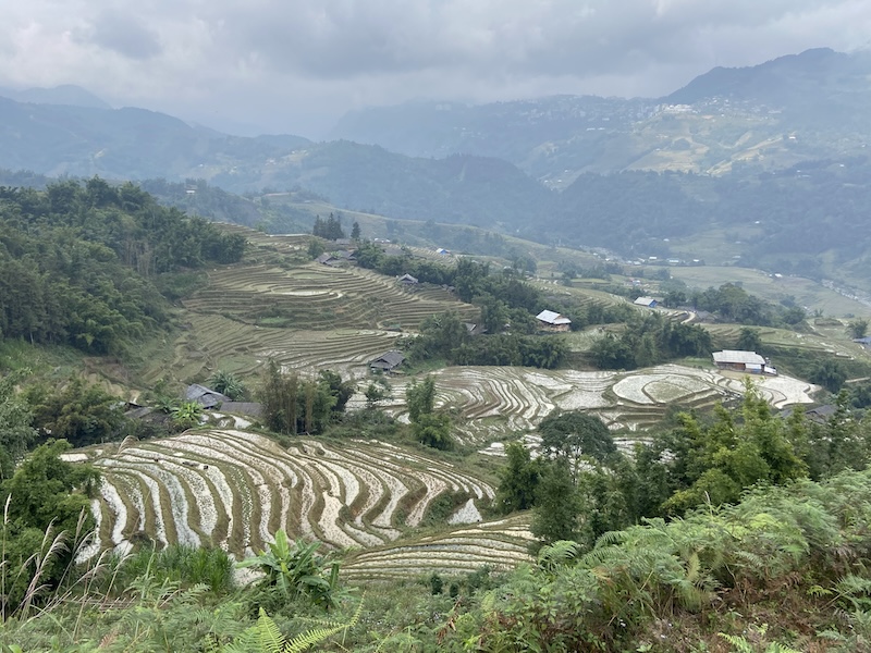 Rizières dans les hauteurs de Sapa